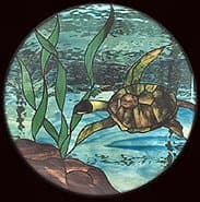 Turtle stained glass piece